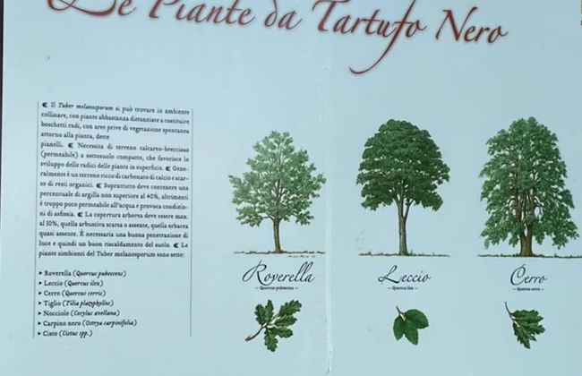 Appartamento Roero Cottage 3 - Photo 16