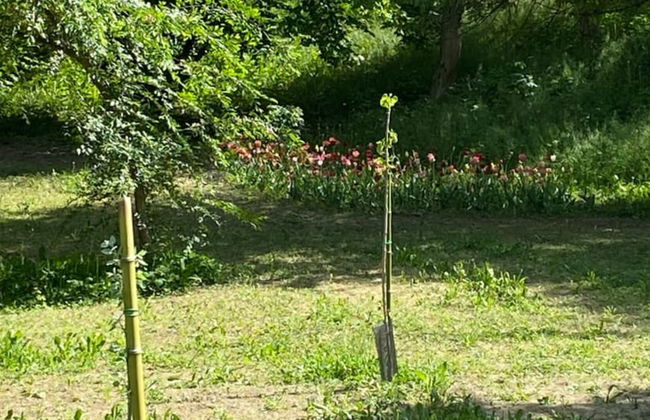 Appartamento Roero Cottage 3 - Photo 11