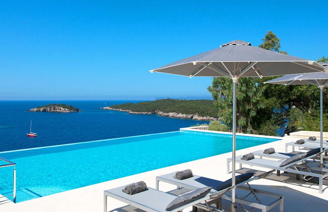 White Orchid Brassia - Foto 8