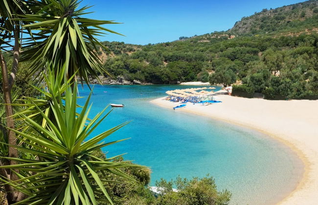 White Orchid Brassia - Foto 23