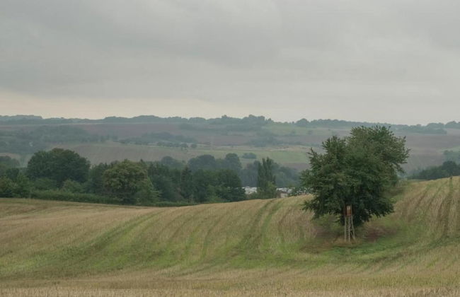 Holiday Home With Parking - Photo 31
