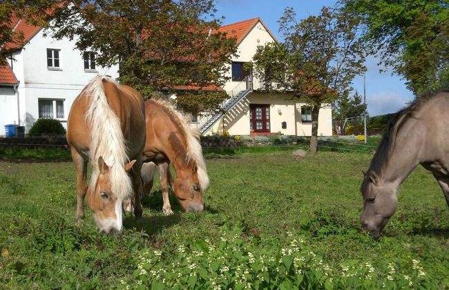 Ferienwohnung mit Terrasse in Kropelin - Foto 18