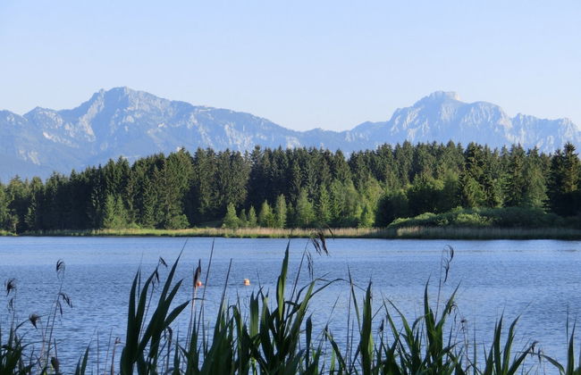 Appealing Apartment in Bad Bayersoien With Balcony - Foto 76