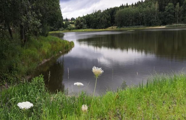 Geraumige Ferienwohnung im Sauerland - Foto 35