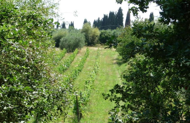 Beautiful Villa in Peccioli With Private Swimming Pool - Foto 71