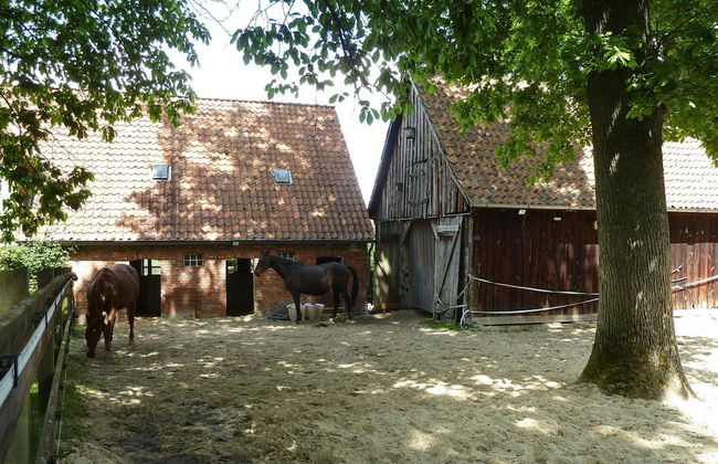 Apartment in Dorfmark Near Luneburg Heath - Foto 27