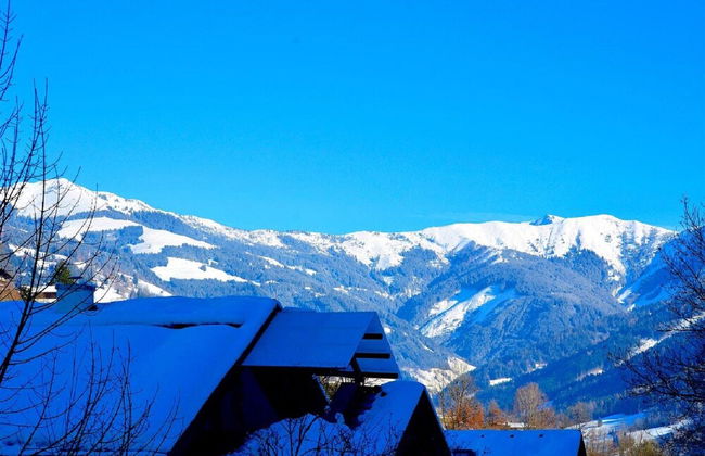 Chalet mit Sauna und Sommergastekarte Zell am See - Foto 23