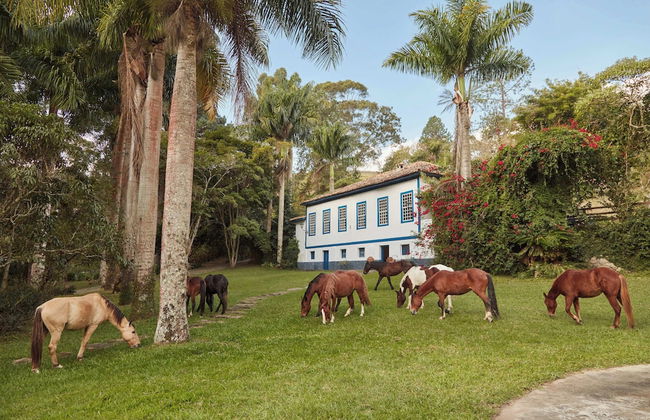FAZENDA CATUÇABA - Foto 64