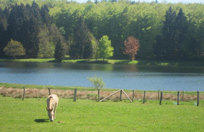Houffalize Forest View Villa - Foto 37