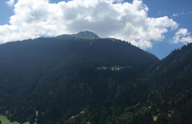 Apartment Near the Centre and ski Resort - Foto 38