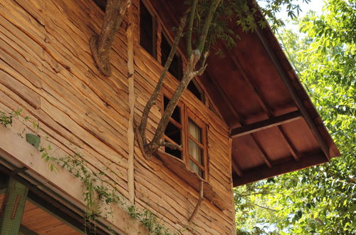 Foto 54 - Roots Tree House