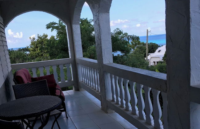 Bananaquit House - Photo 30