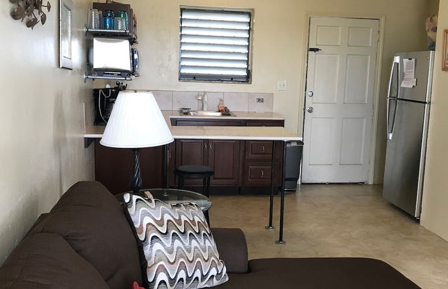 Bananaquit House - Photo 13