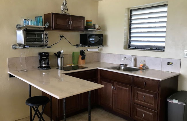 Bananaquit House - Photo 17