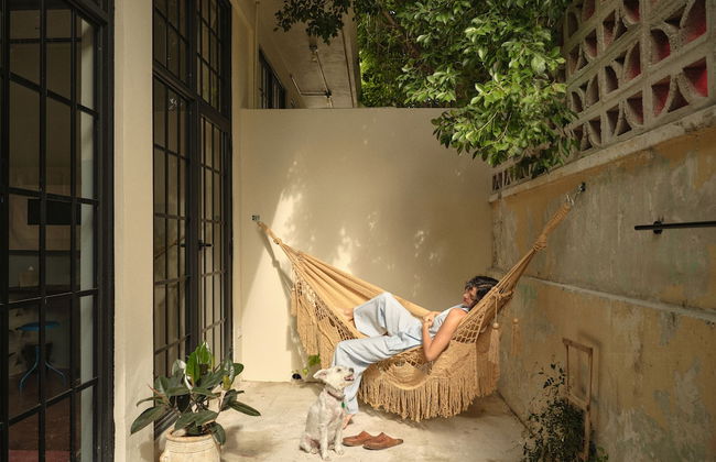 PAZ by DW - Foto 26
