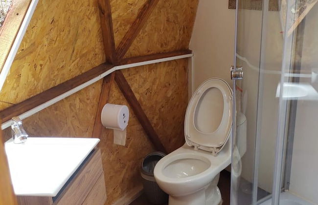 Glamping Bosques del Moral - Foto 7