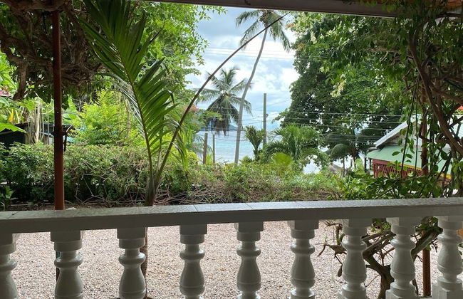 Beau Bamboo - Foto 12