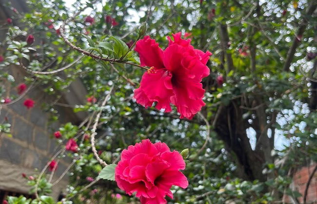 Casa Boutique Remolino - Foto 11