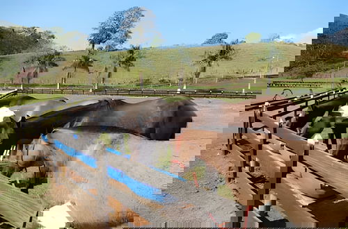 Foto 80 - Fazenda Realeza
