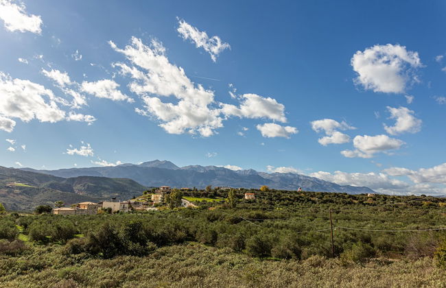 Levanda Villas - Foto 13