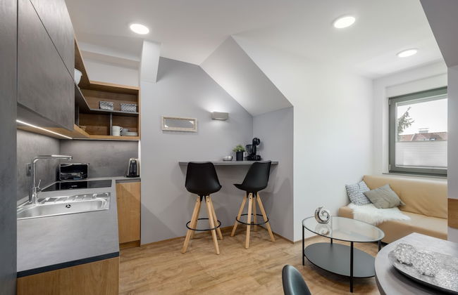 Vila Emona - Central Apartments - Free Parking - Foto 35