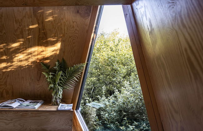 K3 Kudhva Treehouse Cabin in Tintagel - Photo 27