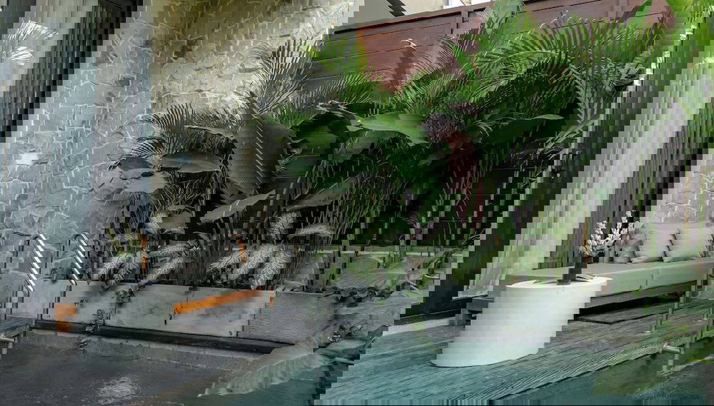 Imagem principal