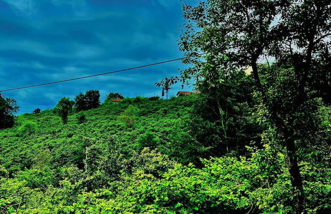 Five Stars Apart Bungalov - Photo 48