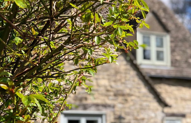 Greystones Cottage - Foto 20