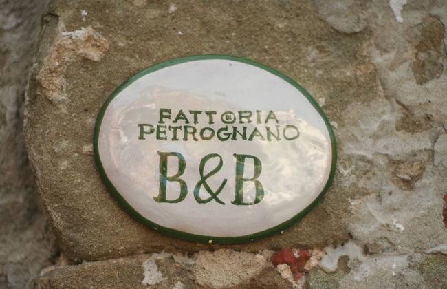 Fattoria Gambaro di Petrognano - Foto 11