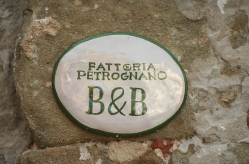 Foto 11 - Fattoria Gambaro di Petrognano