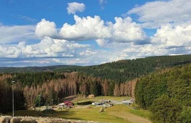 Ferienwohnung mit Sauna in Schonbrunn Thuringen - Foto 27