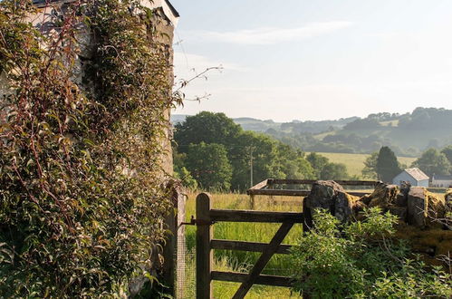 Photo 78 - Alltybrain Farm Cottages and B&B