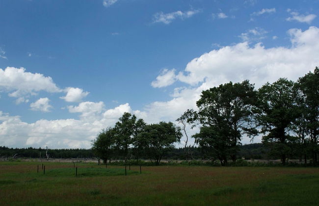 Fine Vacation Home Near Lemelerberg - Photo 40