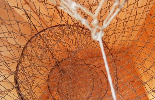 6 Person Holiday Home in Rebbenes - Foto 41