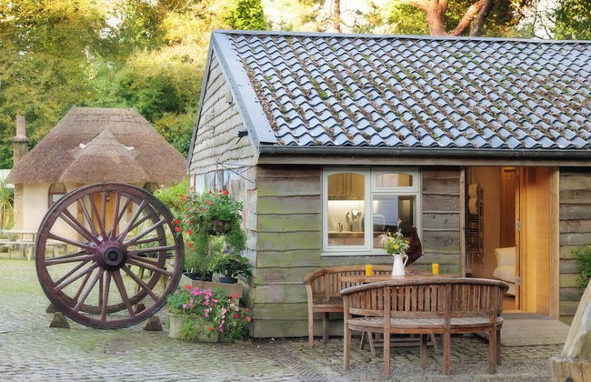 Pinetum Garden Cottages - Foto 65