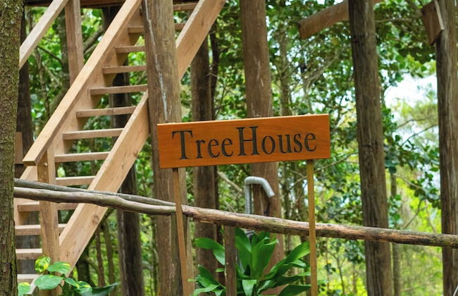 The Grand Forest Jarabacoa - Foto 4