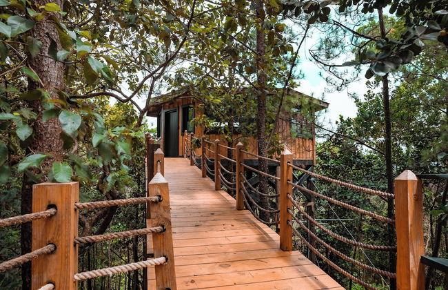 The Grand Forest Jarabacoa - Foto 2