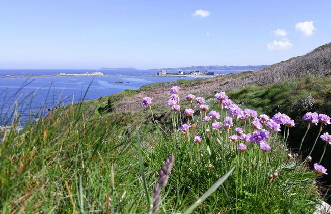 Charming Holiday Home Near the Beach, Locquemeau - Foto 15