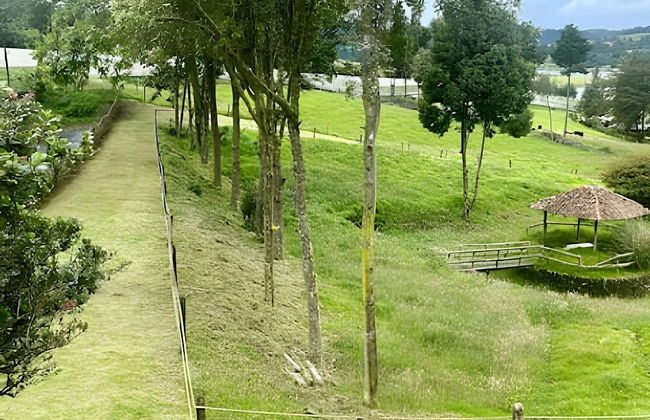 1. Cabaña Portón de Ovejas - Foto 15