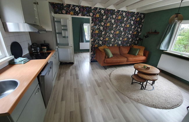 Holiday Home in Schoonloo With Balcony/terrace - Foto 58