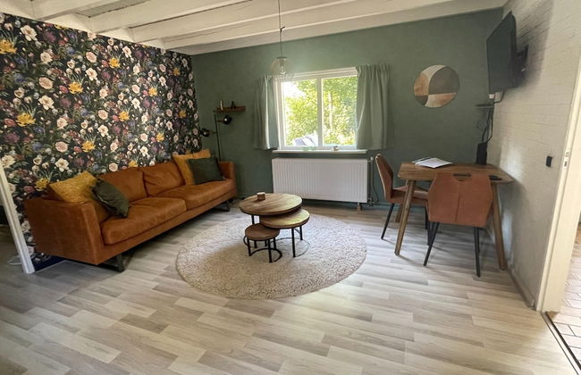Holiday Home in Schoonloo With Balcony/terrace - Foto 60