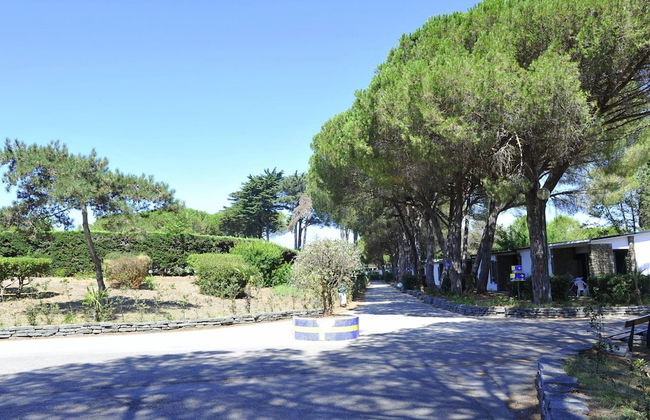 New Apartment in Baia Domzia Near the sea - Foto 31