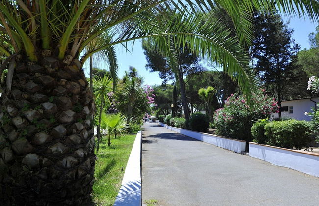 New Apartment in Baia Domzia Near the sea - Foto 20