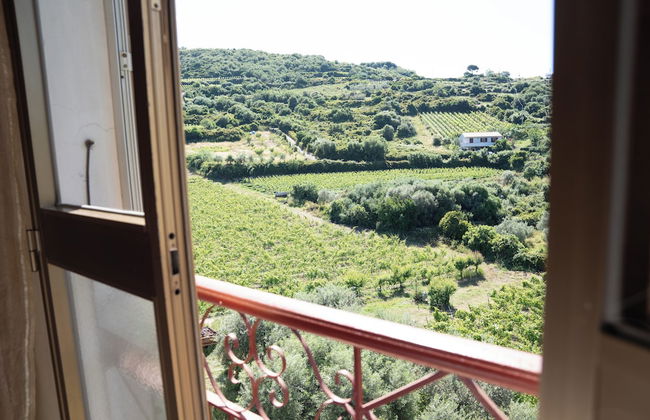 Le Case nel Vitigno - Photo 17