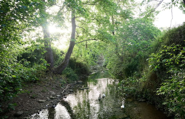 River Serenity Villa Vryses - Photo 28