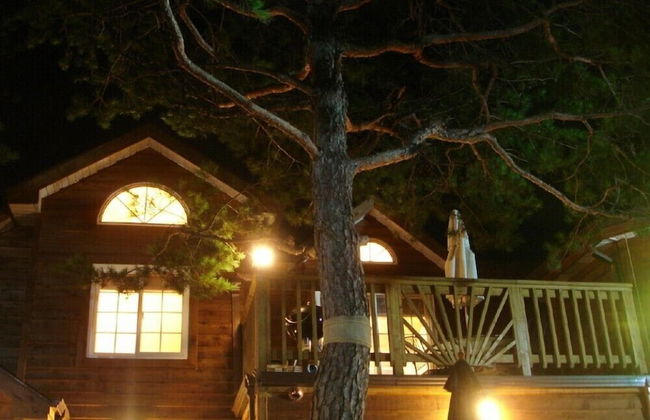 Castel on the hill pension - Photo 33