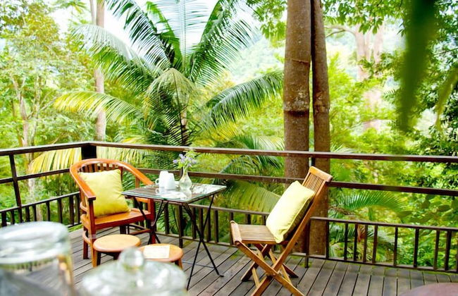The Dusun - Photo 58