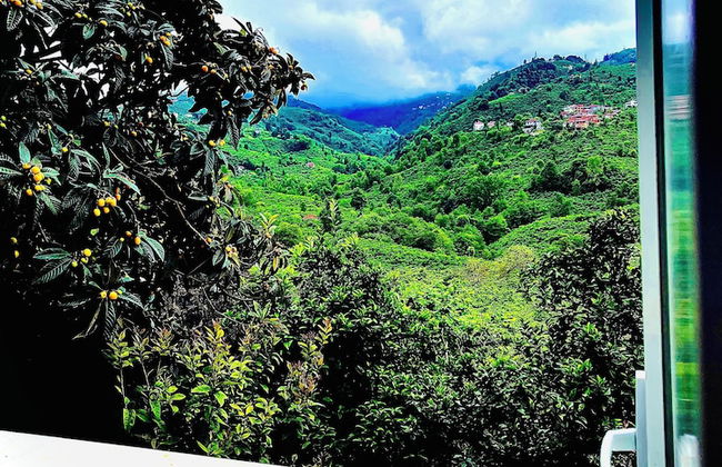 Five Stars Apart Bungalov - Photo 55