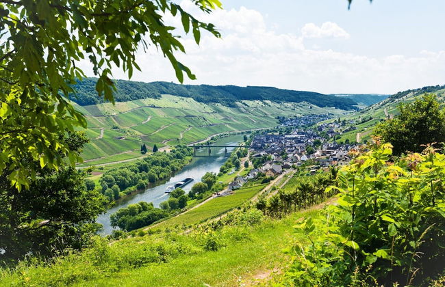 Traditional Style Villa with 2 Bathrooms near River Moselle - Foto 27